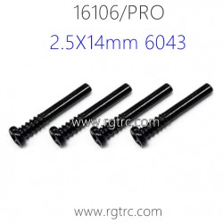 SUCHIYU 16106 Pro 1/16 RC Truck Parts Screw 2.5X14mm 6043