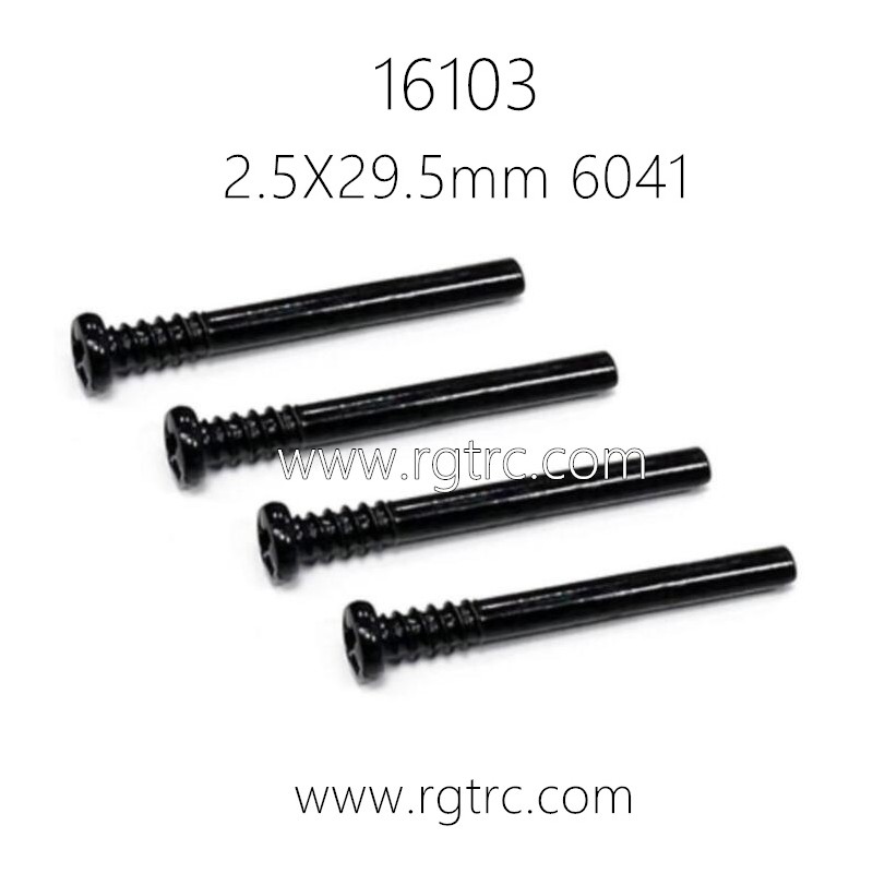 SUCHIYU SCY 16103 Pro Parts Screw 2.5X29.5mm 6041