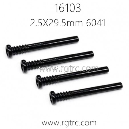 SUCHIYU SCY 16103 Pro Parts Screw 2.5X29.5mm 6041