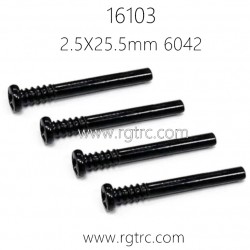 SUCHIYU SCY 16103 Pro Parts Screw 2.5X25.5mm 6042
