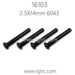 SCY 16103 Parts Screw 2.5X14mm 6043