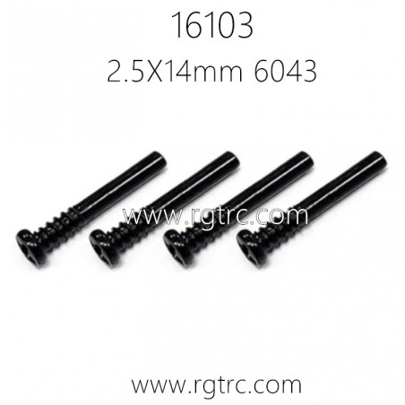 SCY 16103 Parts Screw 2.5X14mm 6043