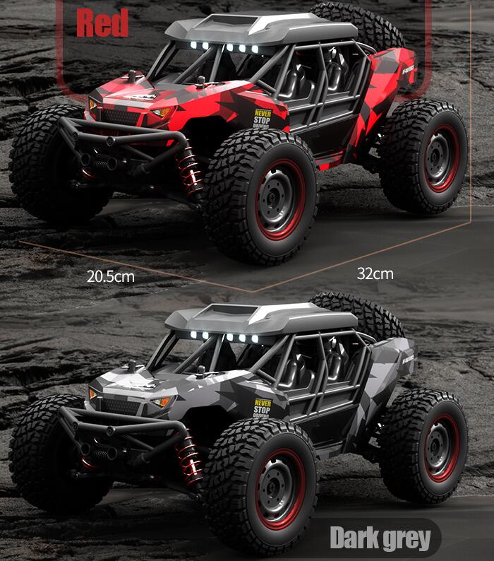 SCY 16106 PRO RC Car